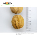 2021 new crop 185 paper shell walnuts